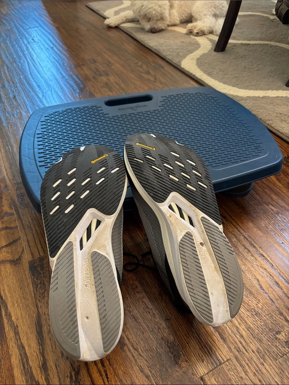 adidas these have